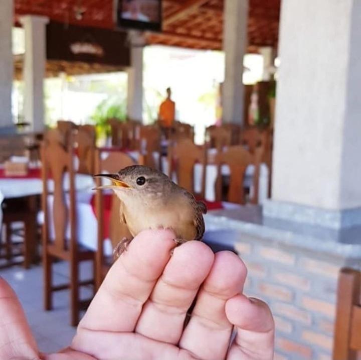 Pousada Recanto Dos Passaros Balsas 外观 照片